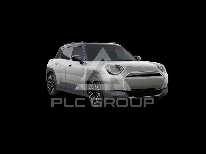 2025 Mini Paceman