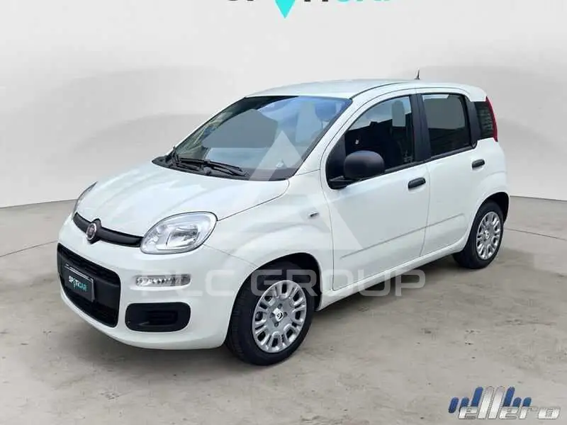 2026 Fiat Unknown