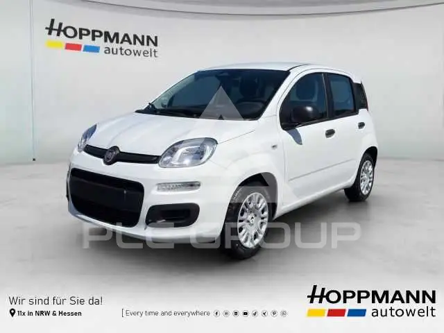2026 Fiat Panda