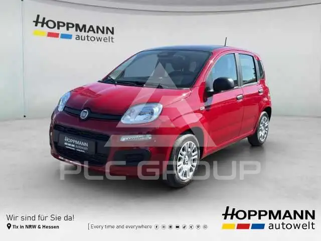 2026 Fiat Panda