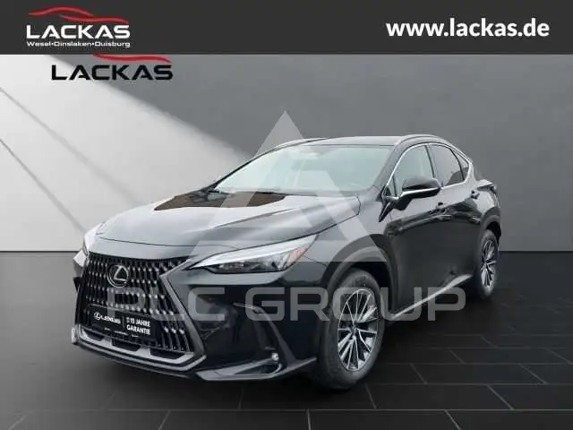 2026 Lexus NX250