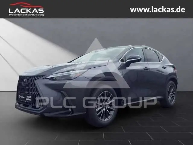 2026 Lexus NX250