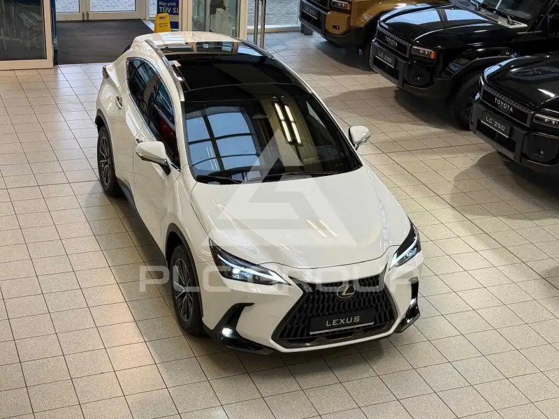 2026 Lexus NX450