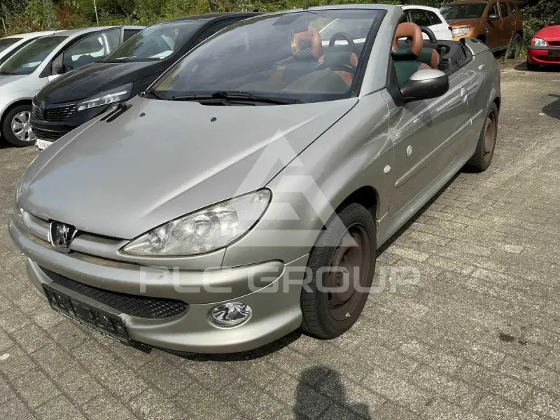 2004 Peugeot 206