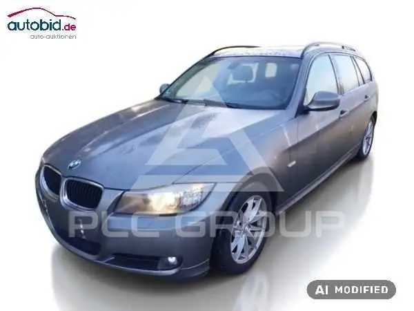 2009 BMW 318