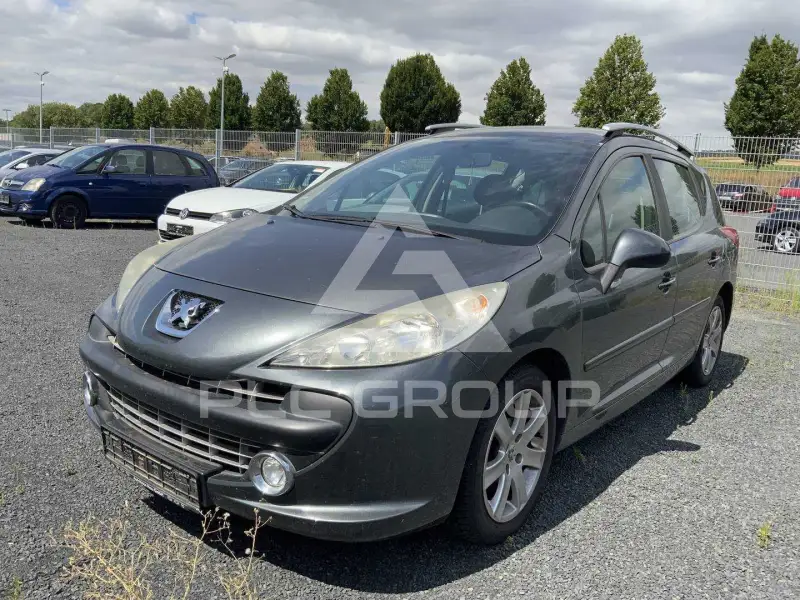 2009 Peugeot 207