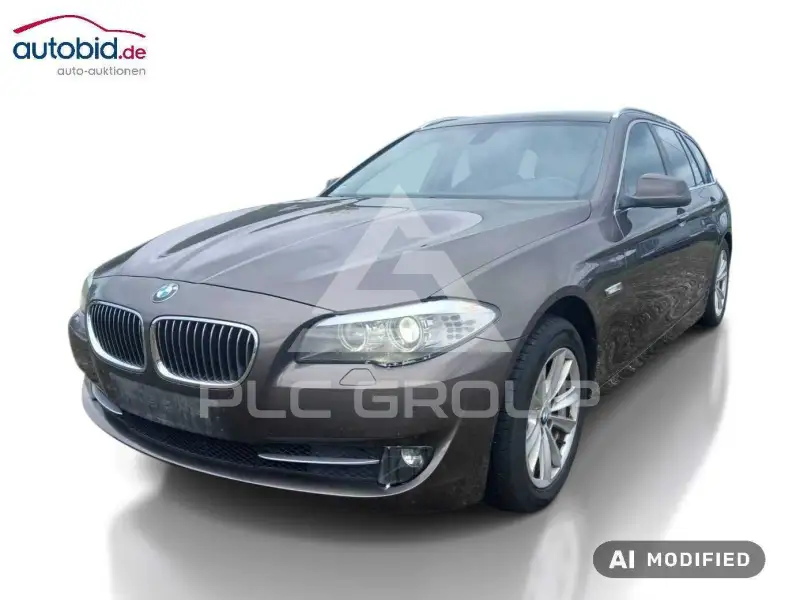 2010 BMW 520