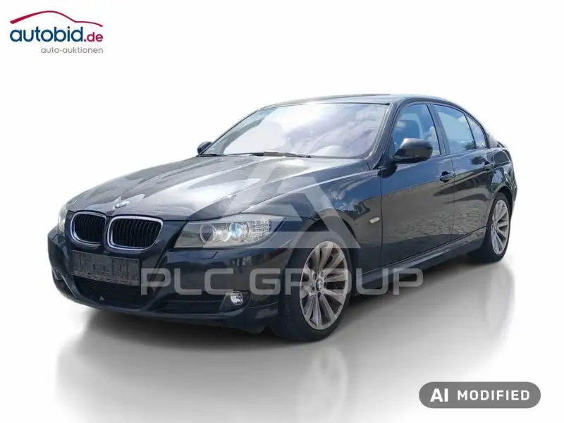 2010 BMW 318