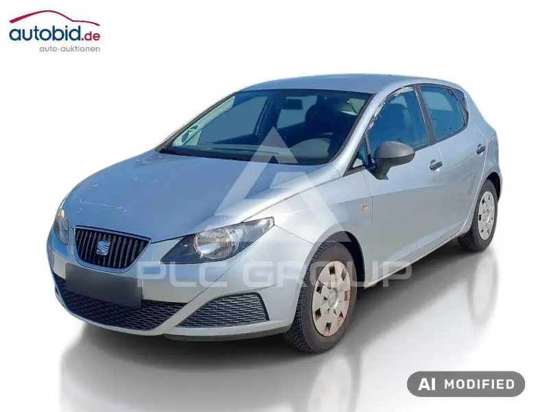 2010 Seat Ibiza