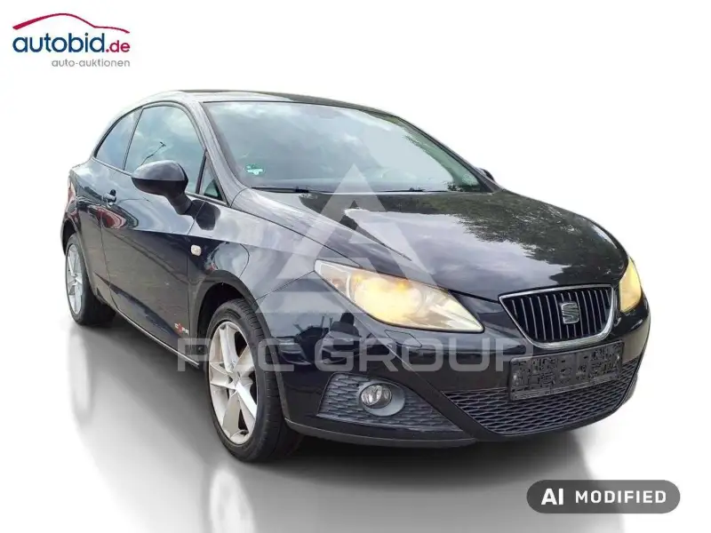 2012 Seat Ibiza