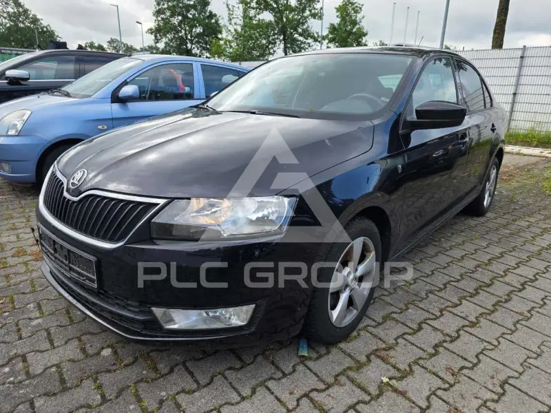 2013 Skoda Rapid