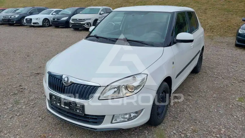 2013 Skoda Fabia