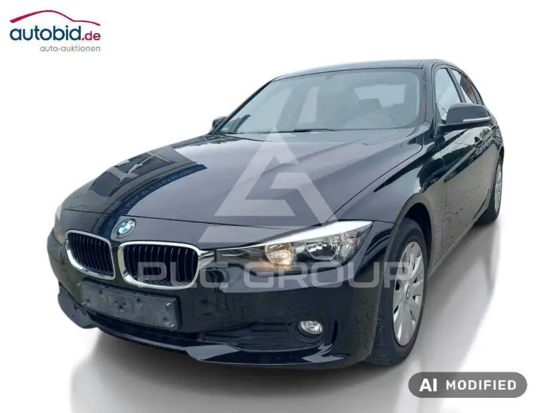 2013 BMW 316