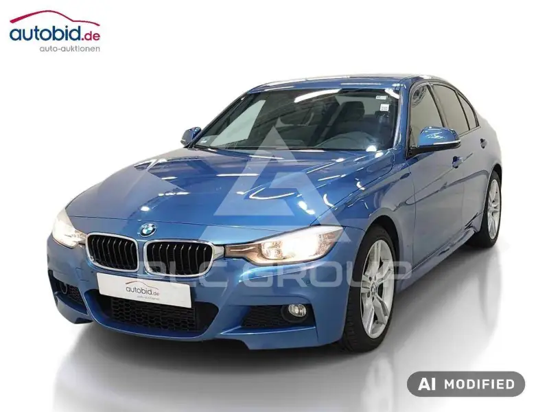 2013 BMW 316