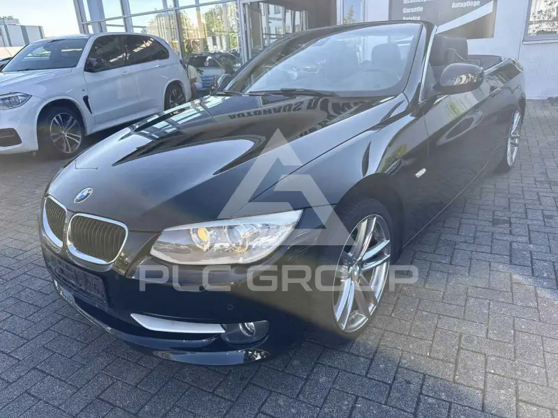 2013 BMW 318