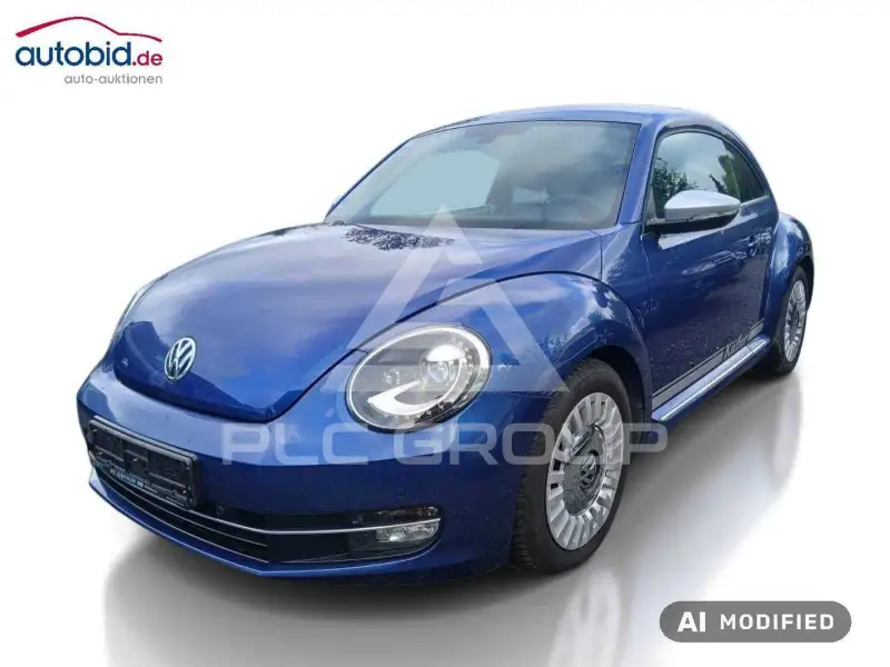 2013 Volkswagen BEETLE