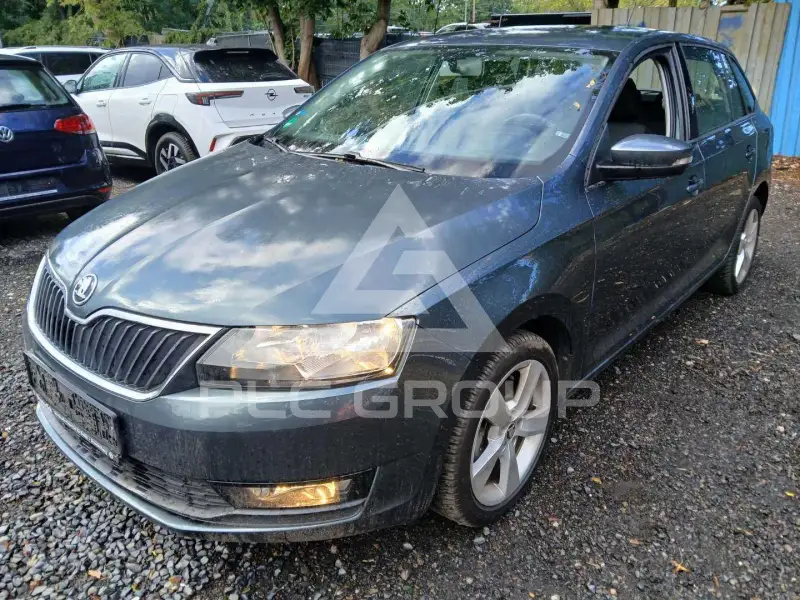 2019 Skoda Rapid