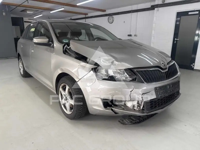 2019 Skoda Rapid