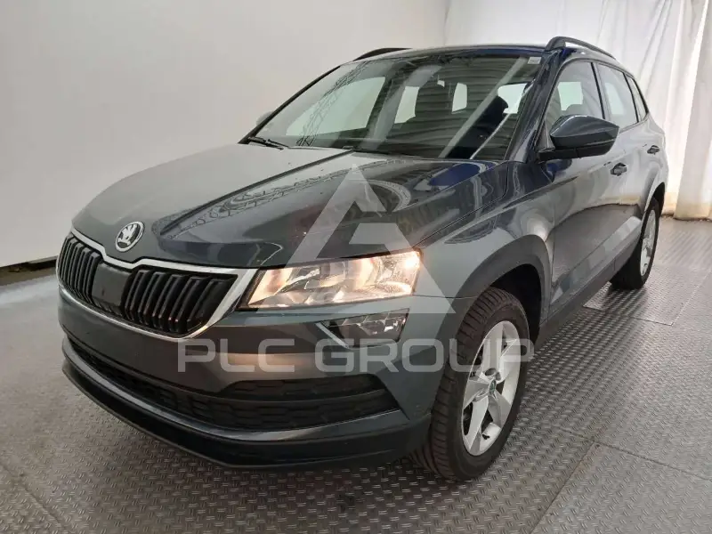 2019 Skoda Karoq
