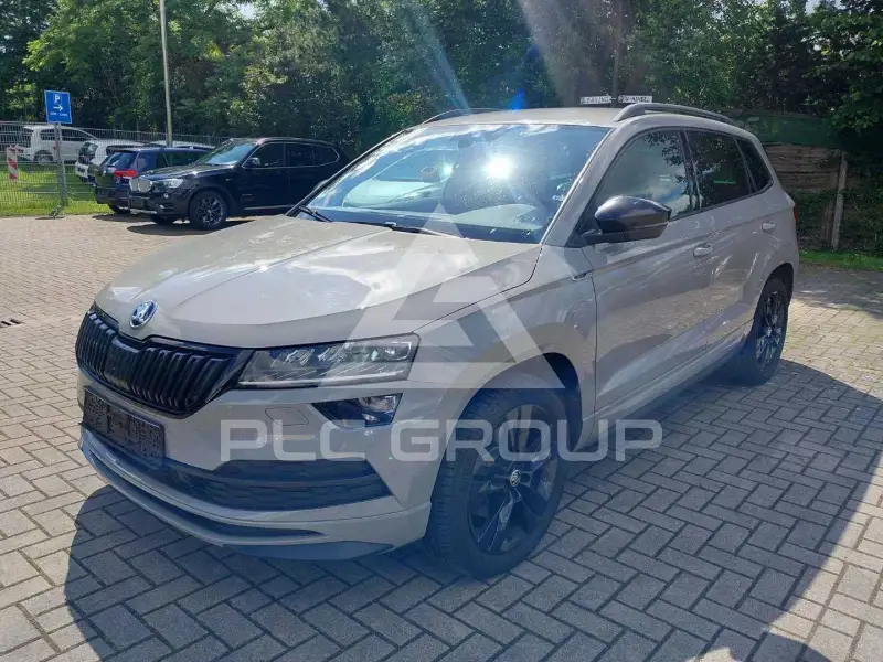 2019 Skoda Karoq