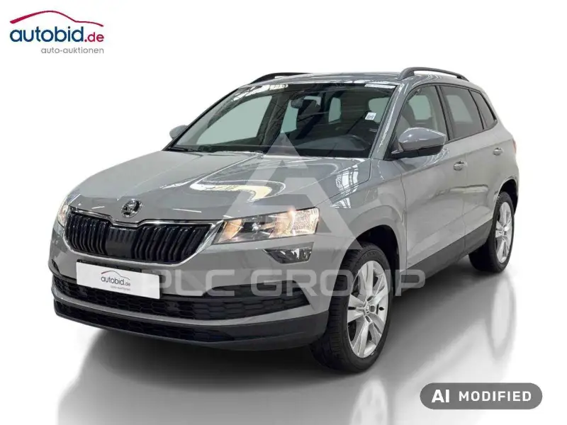 2019 Skoda Karoq