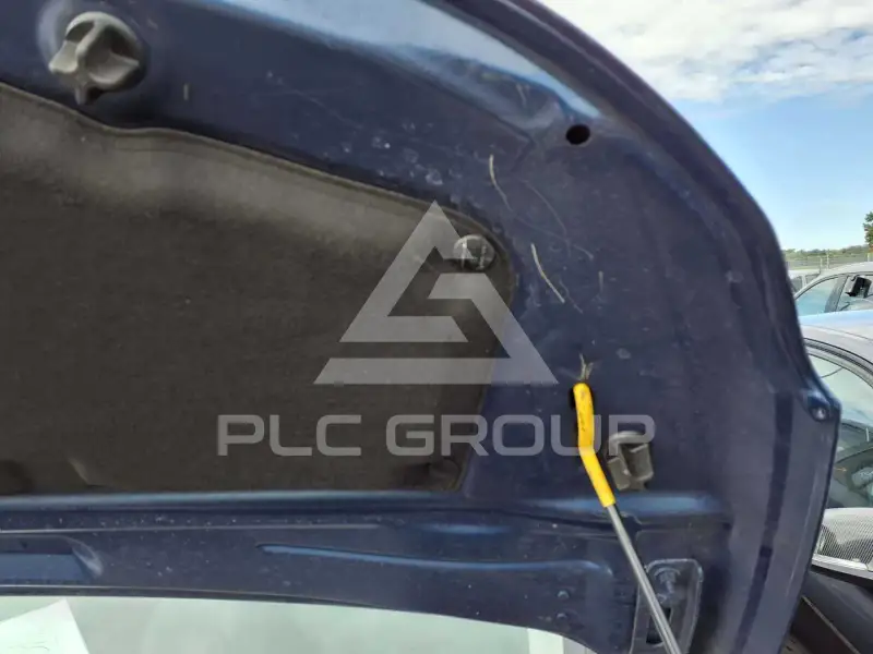 2019 Peugeot Rifter