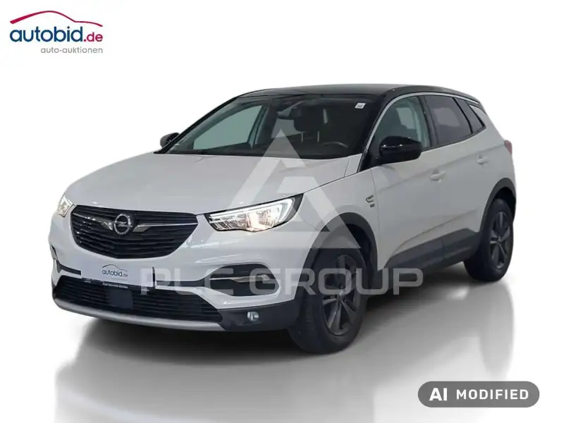 2019 Opel GrandlandX