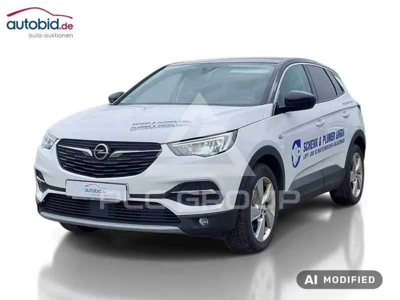 2019 Opel GrandlandX