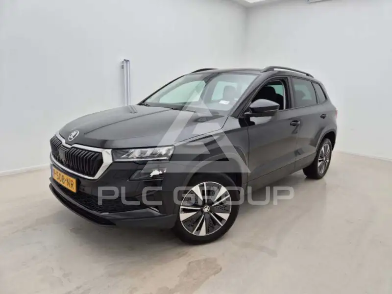 2022 Skoda Karoq