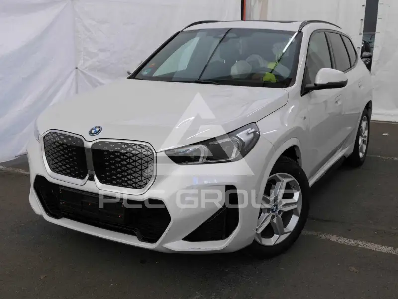 2025 BMW iX