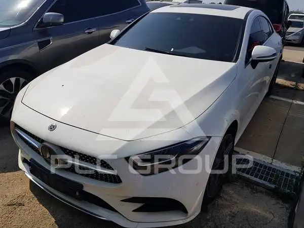 2019 Mercedes Benz CLS 300