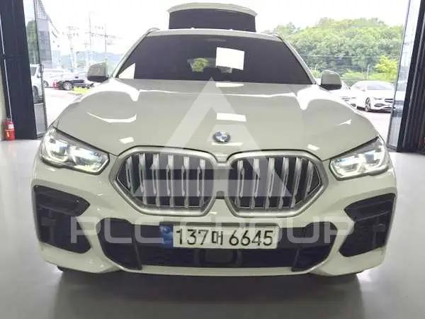 2023 BMW X6