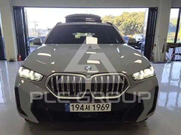2024 BMW X6