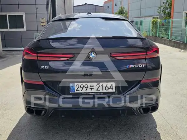 2024 BMW X6