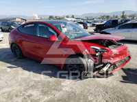 2020 Tesla Model Y photo