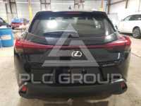 2021 Lexus UX250 фото