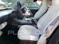 2023 Tesla Model Y photo