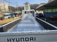 2009 Hyundai Mighty