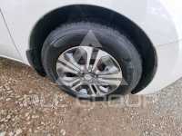 2019 KIA Carnival