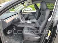 2023 Tesla Model Y photo