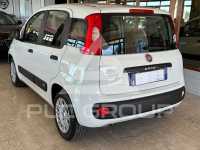2021 Fiat Panda