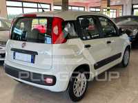 2021 Fiat Panda