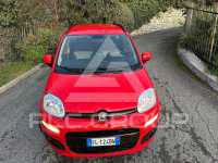 2017 Fiat Panda