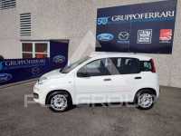 2017 Fiat Panda