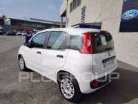 2017 Fiat Panda