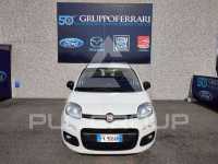 2017 Fiat Panda