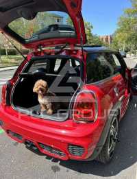 2017 Mini COOPER