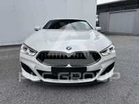 2019 BMW M8