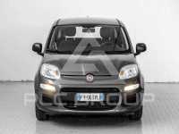 2019 Fiat Panda