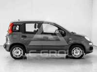 2019 Fiat Panda